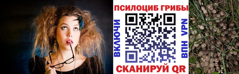 Галлюциногенные грибы MAGIC MUSHROOMS  Купить закладки  Вязьма 